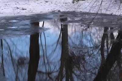 ставок
