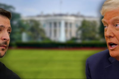 Владимир Зеленский и Дональд Трамп