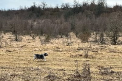 Спасение ребенка