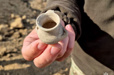 Відкриття на півдні 