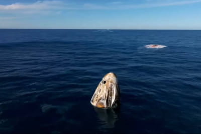 Капсула Crew Dragon