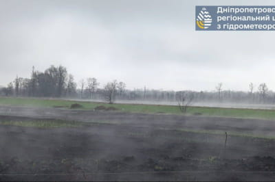 Туман випаровування
