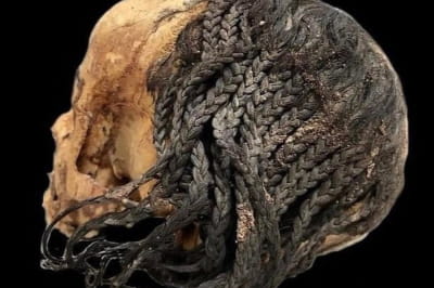 Неймовірна 3300-річна зачіска на збереженій стародавній єгипетській голові