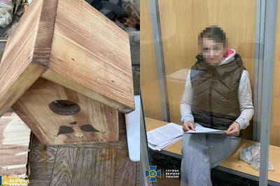 Шпигунка