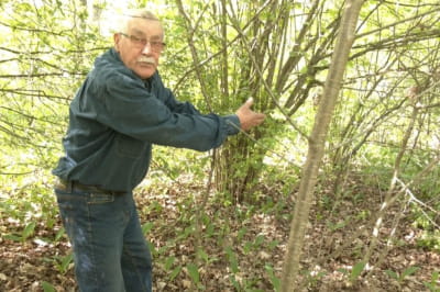 История о хуторе