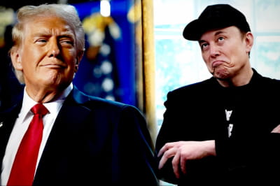 Илон Маск и Дональд Трамп