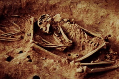 Открытие в Колумбии