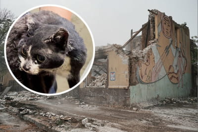 Спасение Маруси