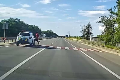 Поліція збила пішохода