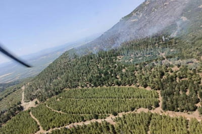 Пожежа у Туречинні 