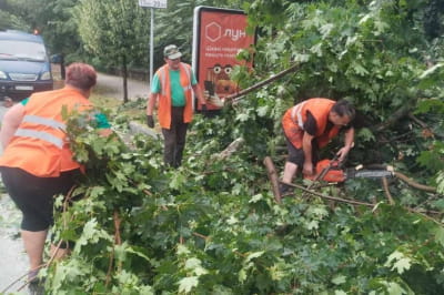 Ліквідація наслідків негоди