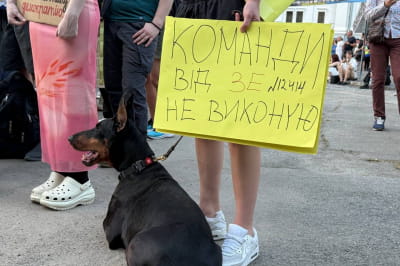 Протест 