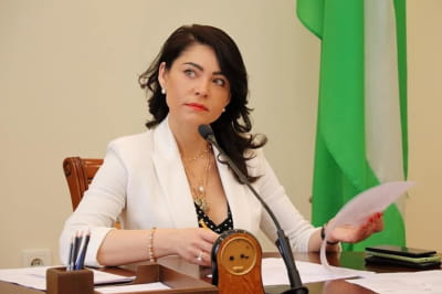 Дума ушла в отставку