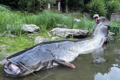 Вагнер із сомом