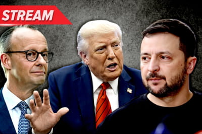 Фридрих Мерц, Дональд Трамп и Владимир Зеленский