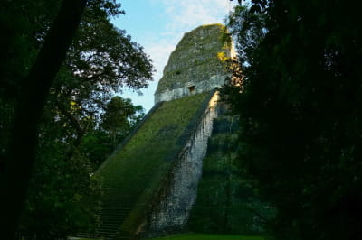 Цивилизация Мая