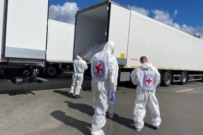 Обмін тілами 