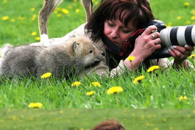 Дика природа