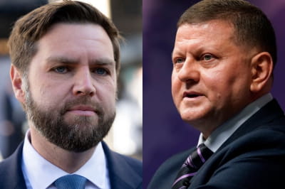 Джей Ди Вэнс и Валерий Залужный