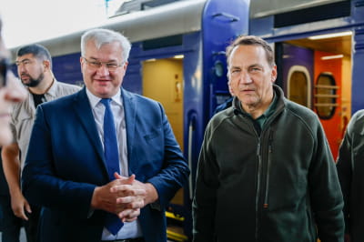 Сибига и Сикорский