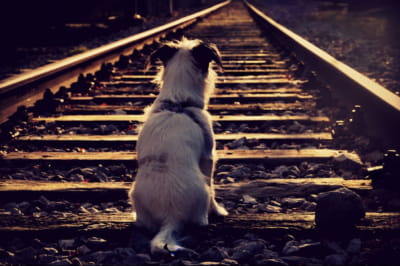 Зміна мвршрутів пасажирських поїздів