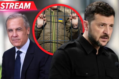 Марк Карні і Володимир Зеленський