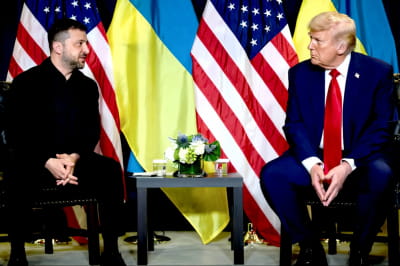 Володимир Зеленський і Дональд Трамп