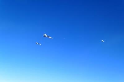 Российские истребители