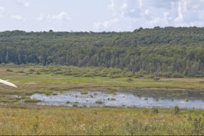 Веселецьке озеро