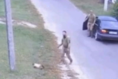 Инцидент с котом