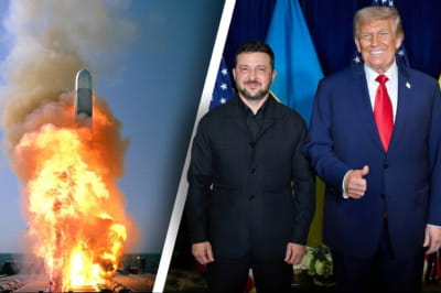 Владимир Зеленский и Дональд Трамп