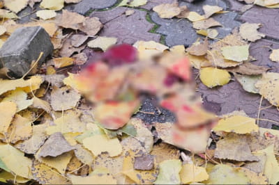 Последствия атаки 