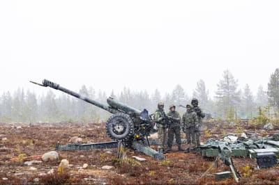 У Фінляндії стартували навчання Northern Strike 225