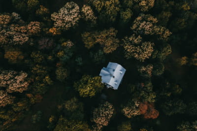 Будинок у лісі