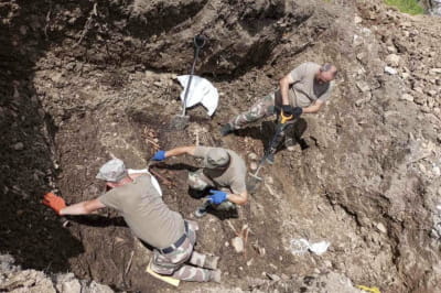 Пошукові роботи