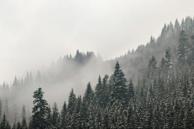 Буковель, Івано-Франківська область