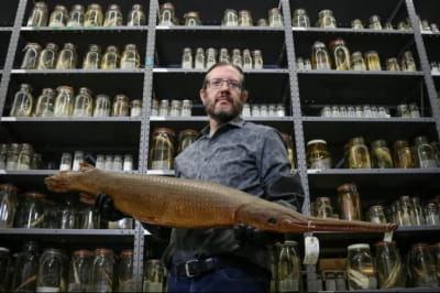 Фото з музея 