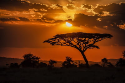 Природа Африки