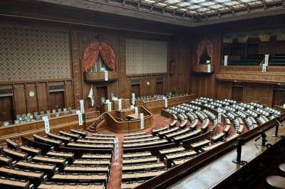 В Японии пройдут внеочередные выборы в парламент