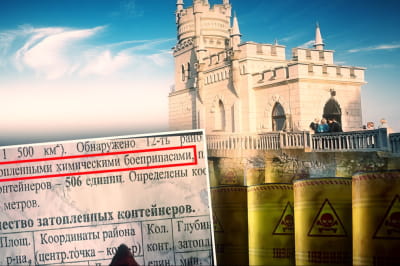 "Парадокс Криштопи"