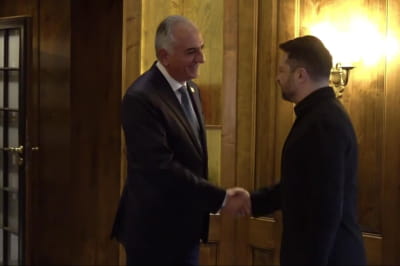 Реза Пахлаві и Владимир Зеленский