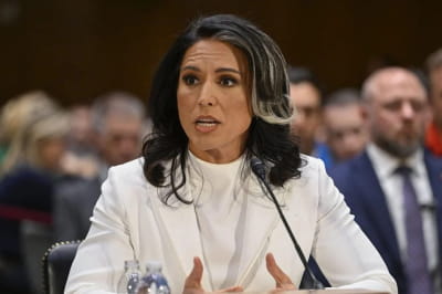 Тулсі Габбард