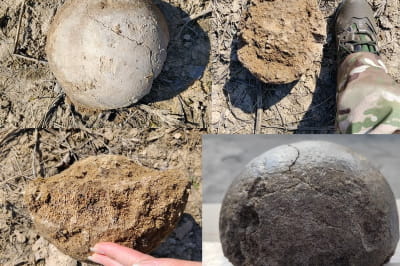 Кости мамонта