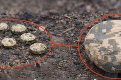 рф замінувала площу в Херсоні