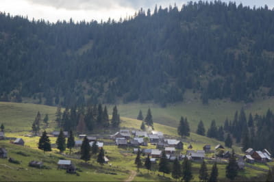 Карпати, гори, природа, село