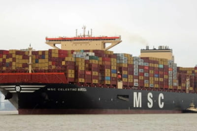 MSC, контейнеровози