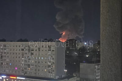 Бавовна в рф