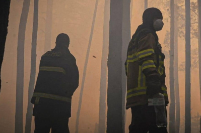 у Зоні відчуження лісова пожежа