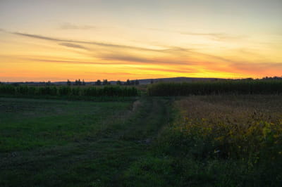 Село