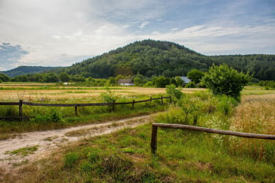 Село